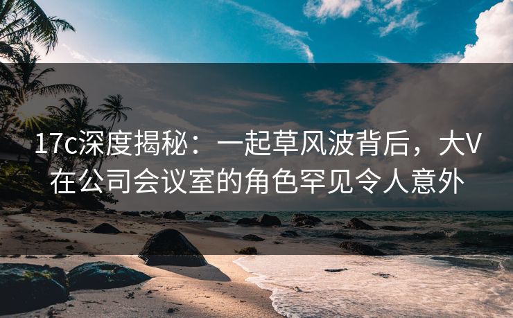 17c深度揭秘：一起草风波背后，大V在公司会议室的角色罕见令人意外