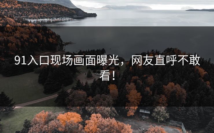 91入口现场画面曝光，网友直呼不敢看！