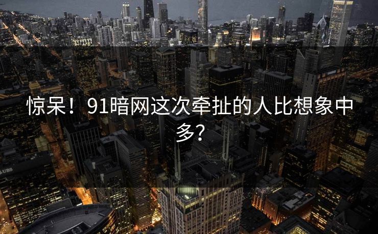 惊呆！91暗网这次牵扯的人比想象中多？
