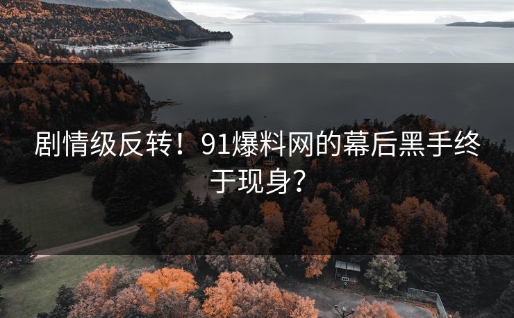 剧情级反转！91爆料网的幕后黑手终于现身？