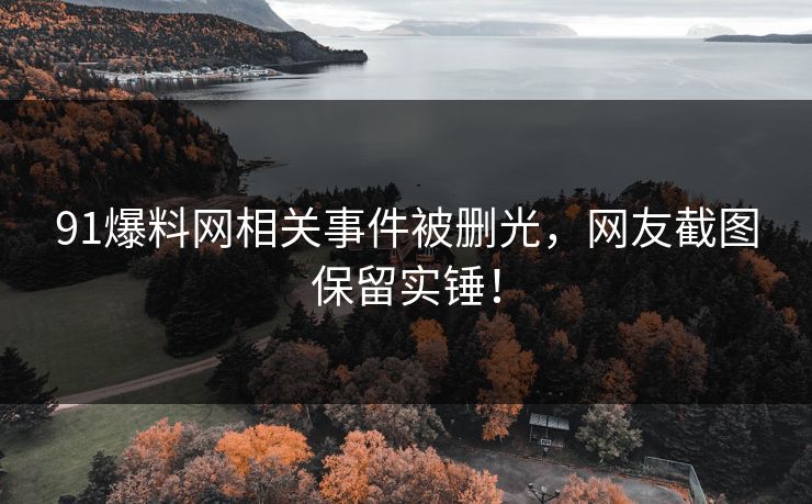 91爆料网相关事件被删光，网友截图保留实锤！