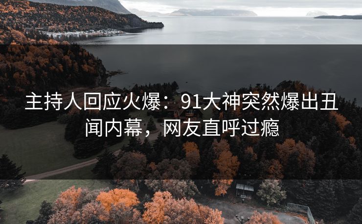 主持人回应火爆：91大神突然爆出丑闻内幕，网友直呼过瘾