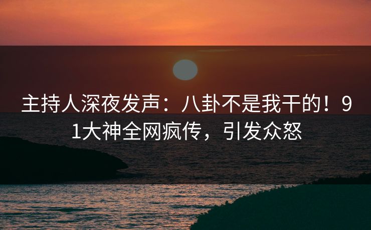 主持人深夜发声：八卦不是我干的！91大神全网疯传，引发众怒